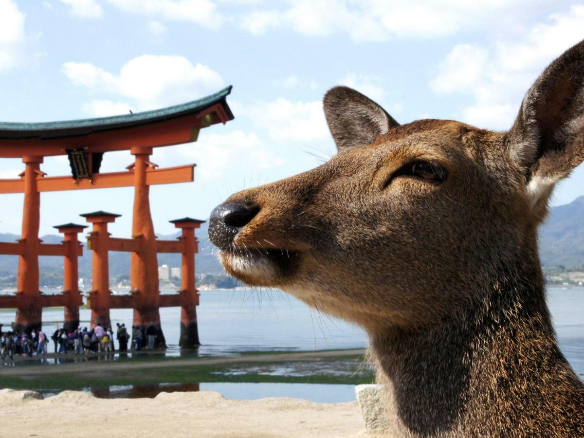 Global Resort Miyajima View Hatsukaichi Zewnętrze zdjęcie